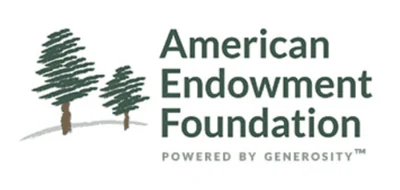 American Endowment Foundation