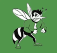 Lincoln High School